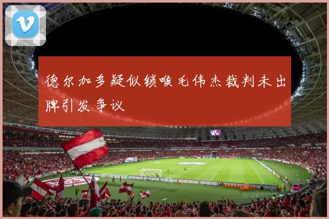 德尔加多疑似锁喉毛伟杰裁判未出牌引发争议