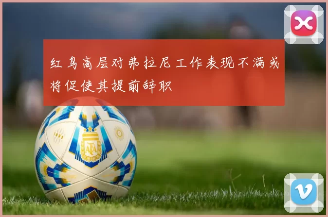 红鸟高层对弗拉尼工作表现不满或将促使其提前辞职